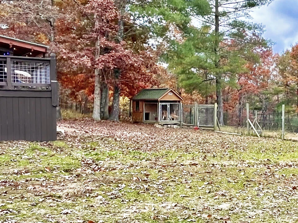 574 Bear Hollow TRL - Photo 48