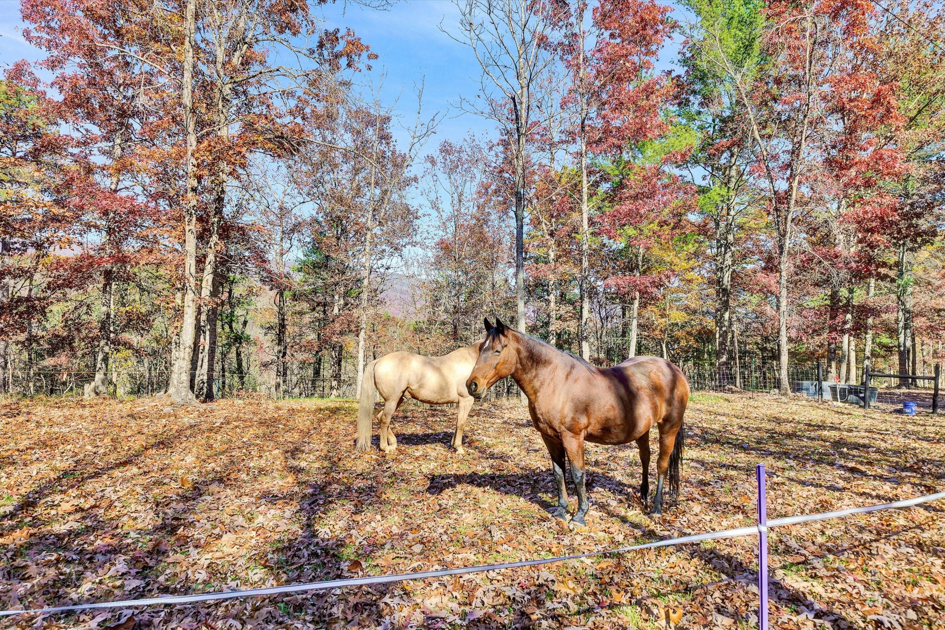 574 Bear Hollow TRL - Photo 54