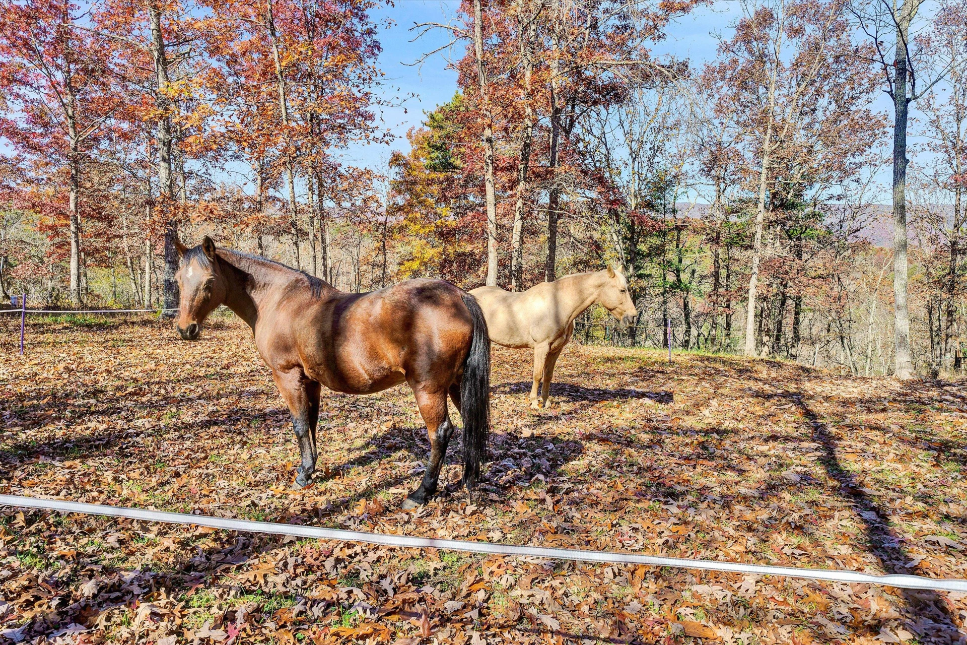 574 Bear Hollow TRL - Photo 55