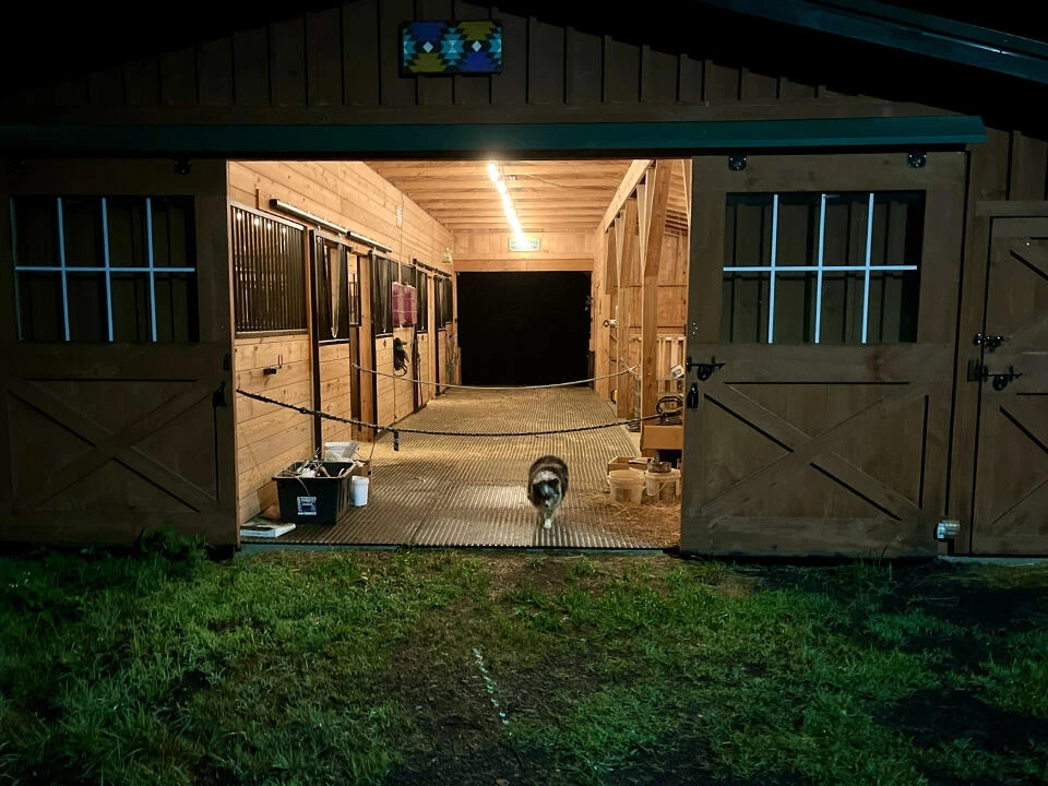 574 Bear Hollow TRL - Photo 58