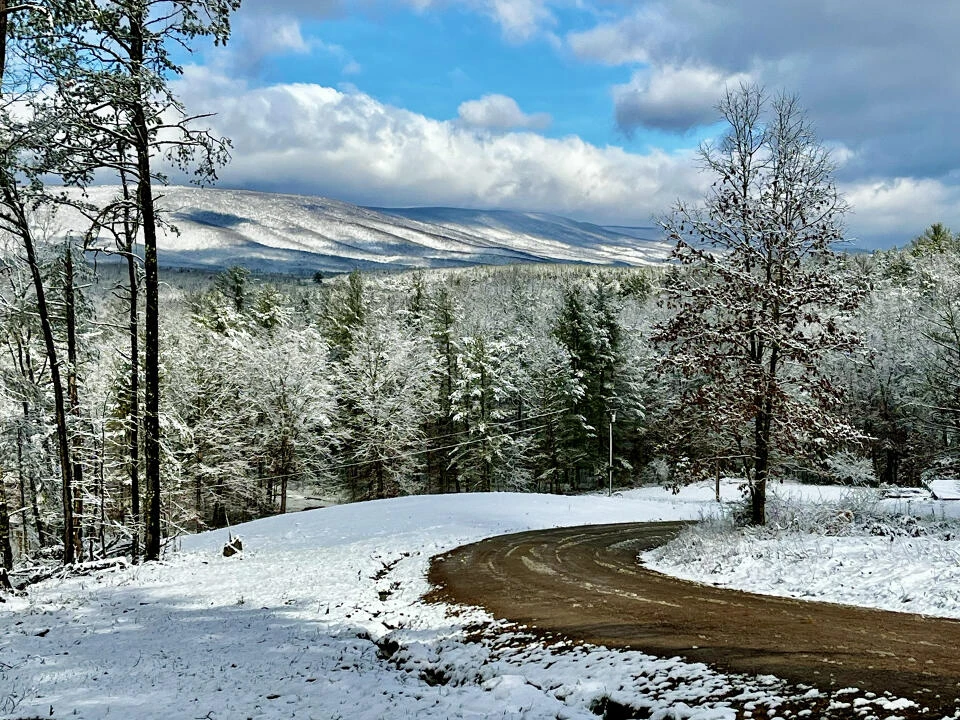 574 Bear Hollow TRL - Photo 61