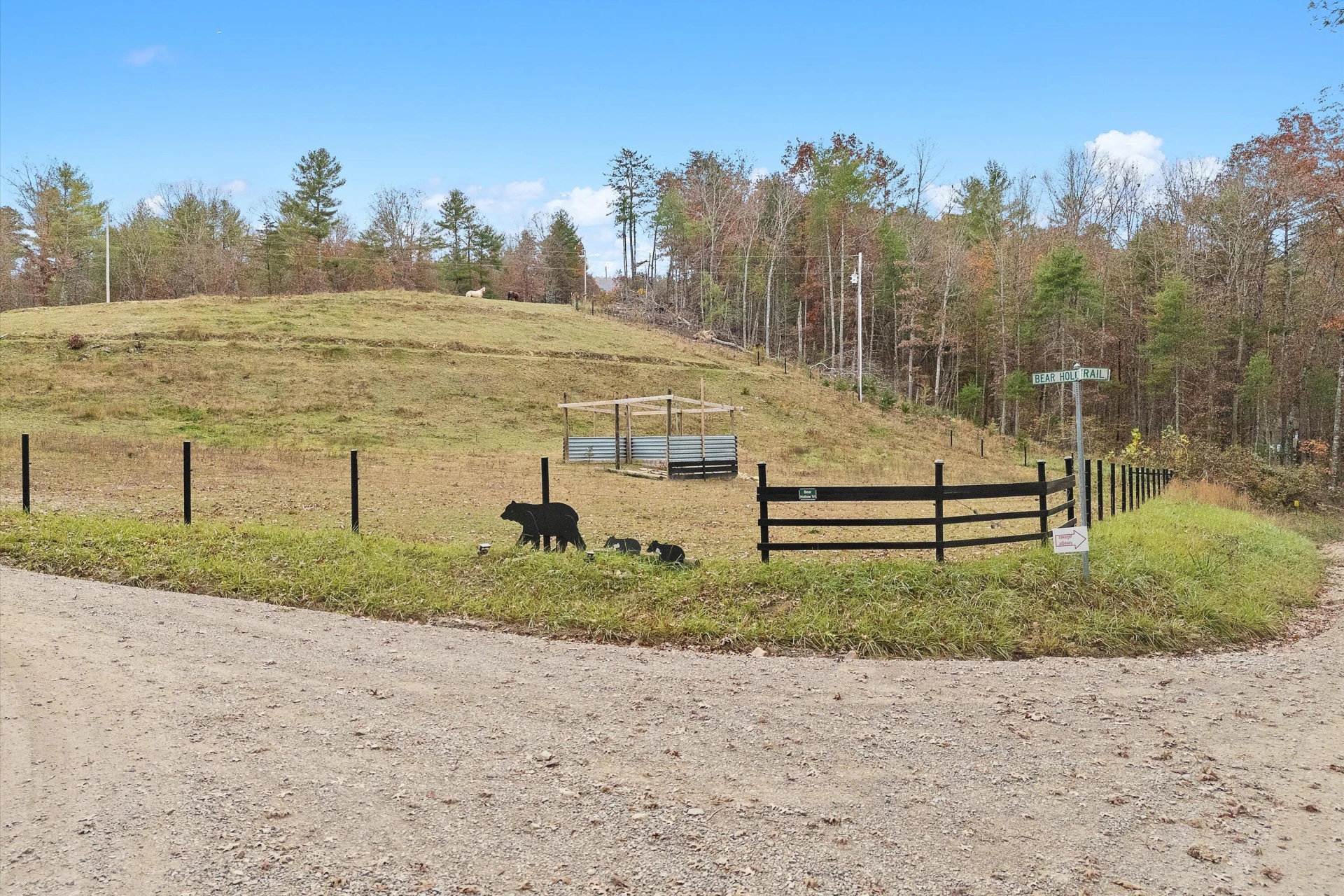 574 Bear Hollow TRL - Photo 62