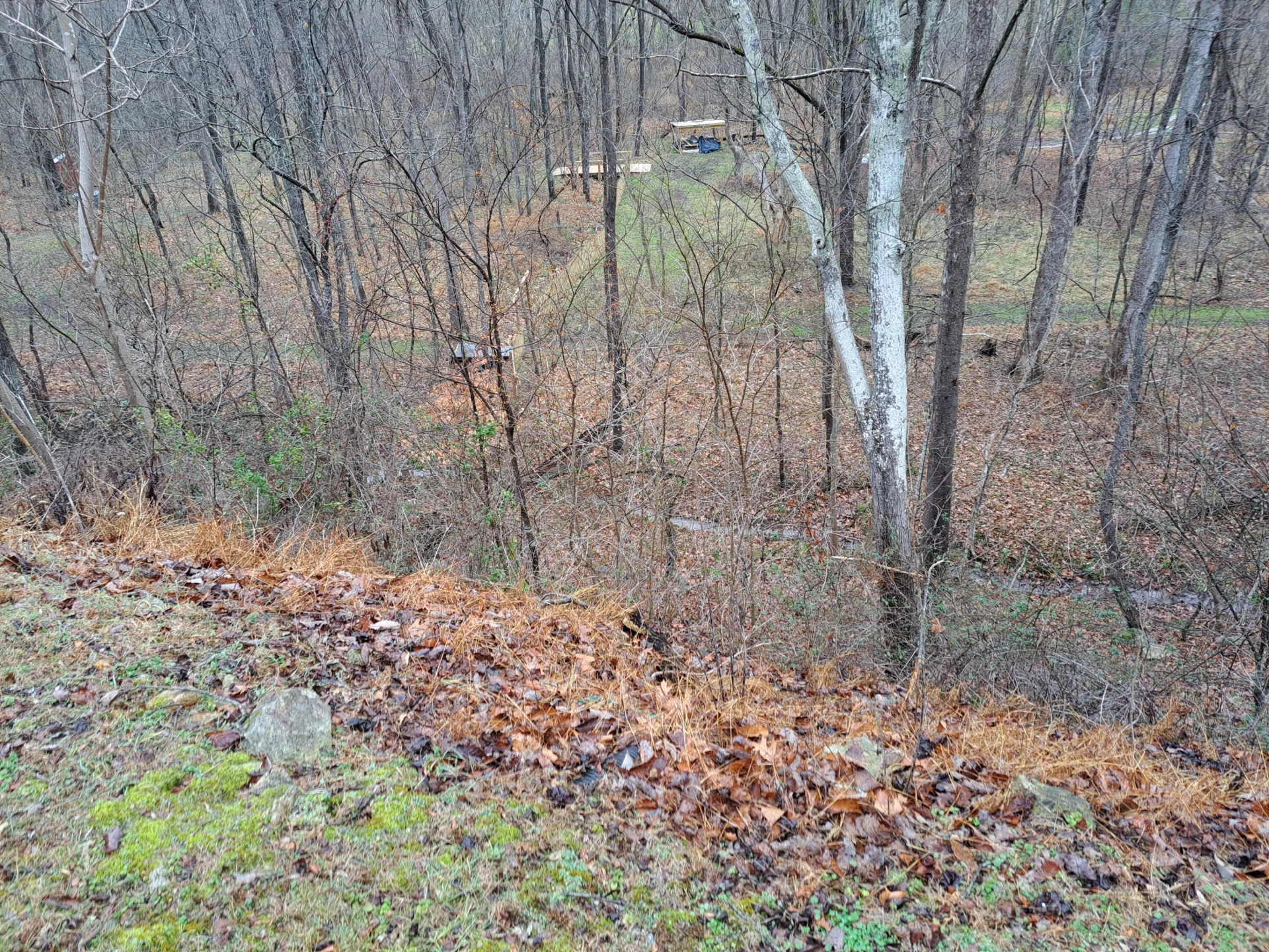 7129 Starlight LN - Photo 59