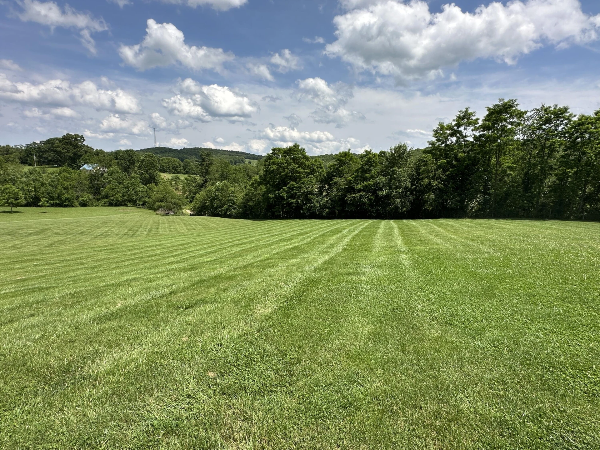 4040 Floyd HWY - Photo 10