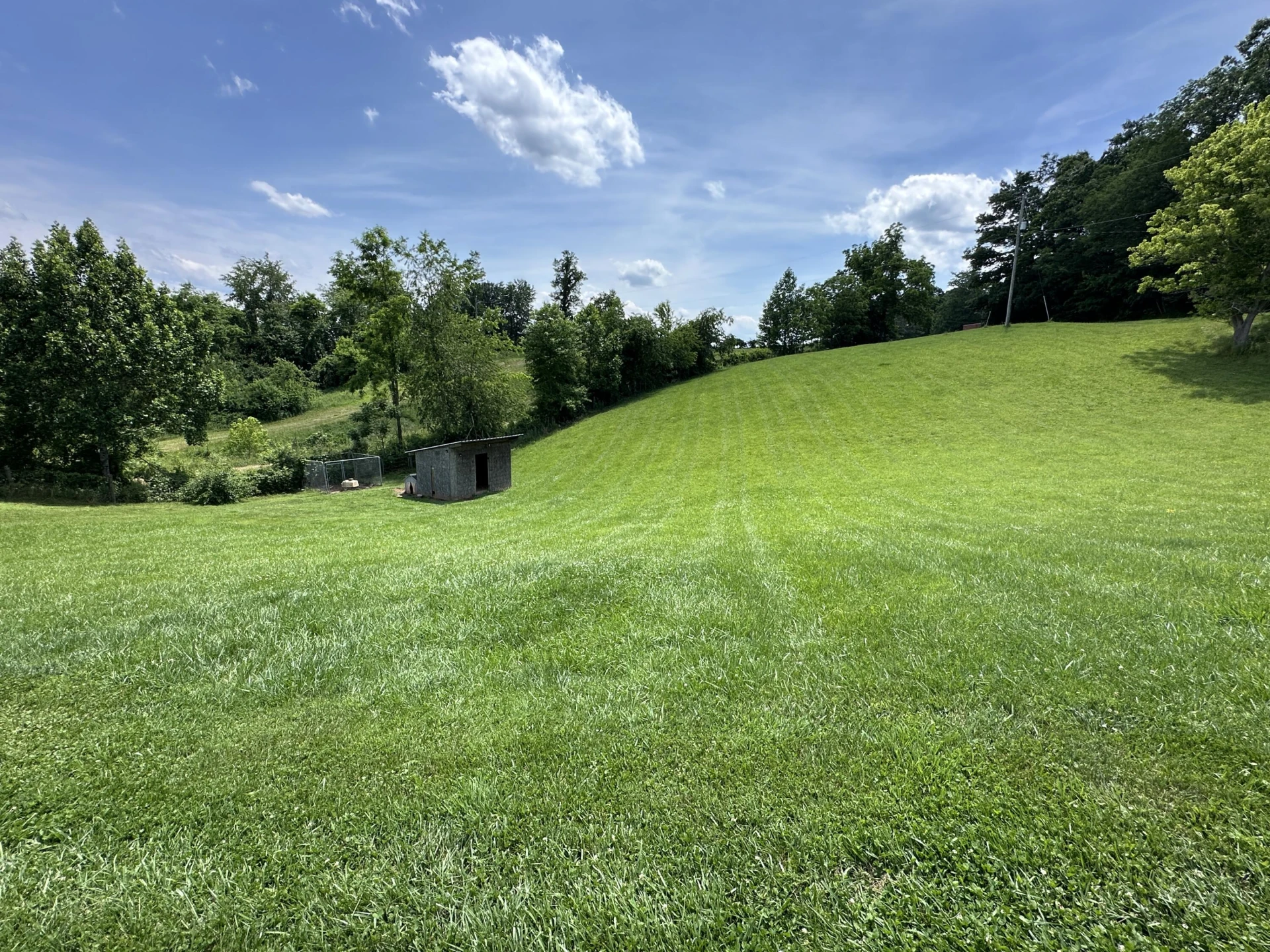 4040 Floyd HWY - Photo 6