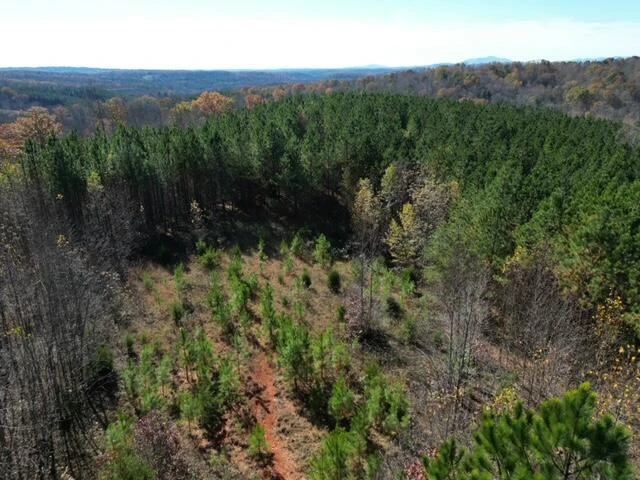 133 PRAIRIE DR - Photo 27