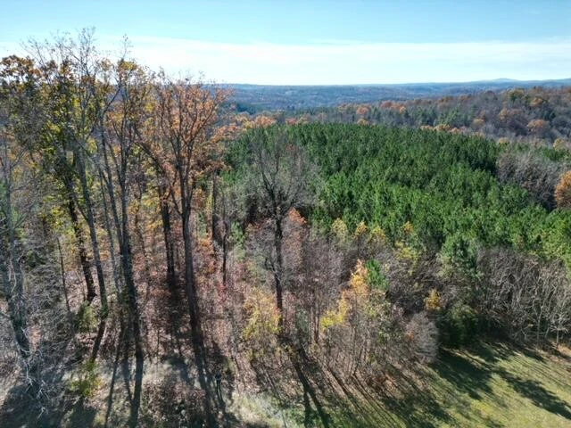 133 PRAIRIE DR - Photo 3