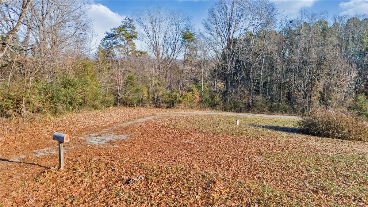 11373 Moneta RD - Photo 6