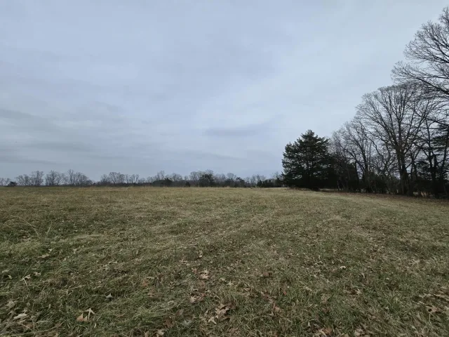 00C Moneta RD