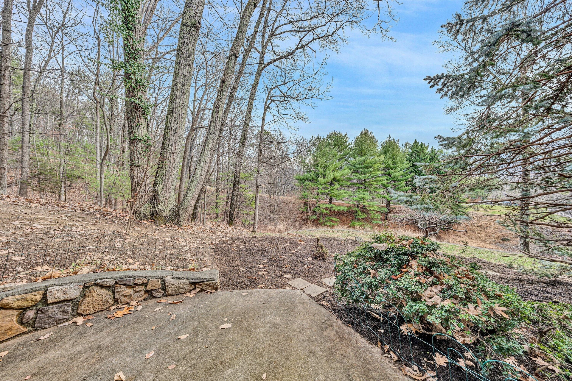 7726 Ann LN - Photo 46
