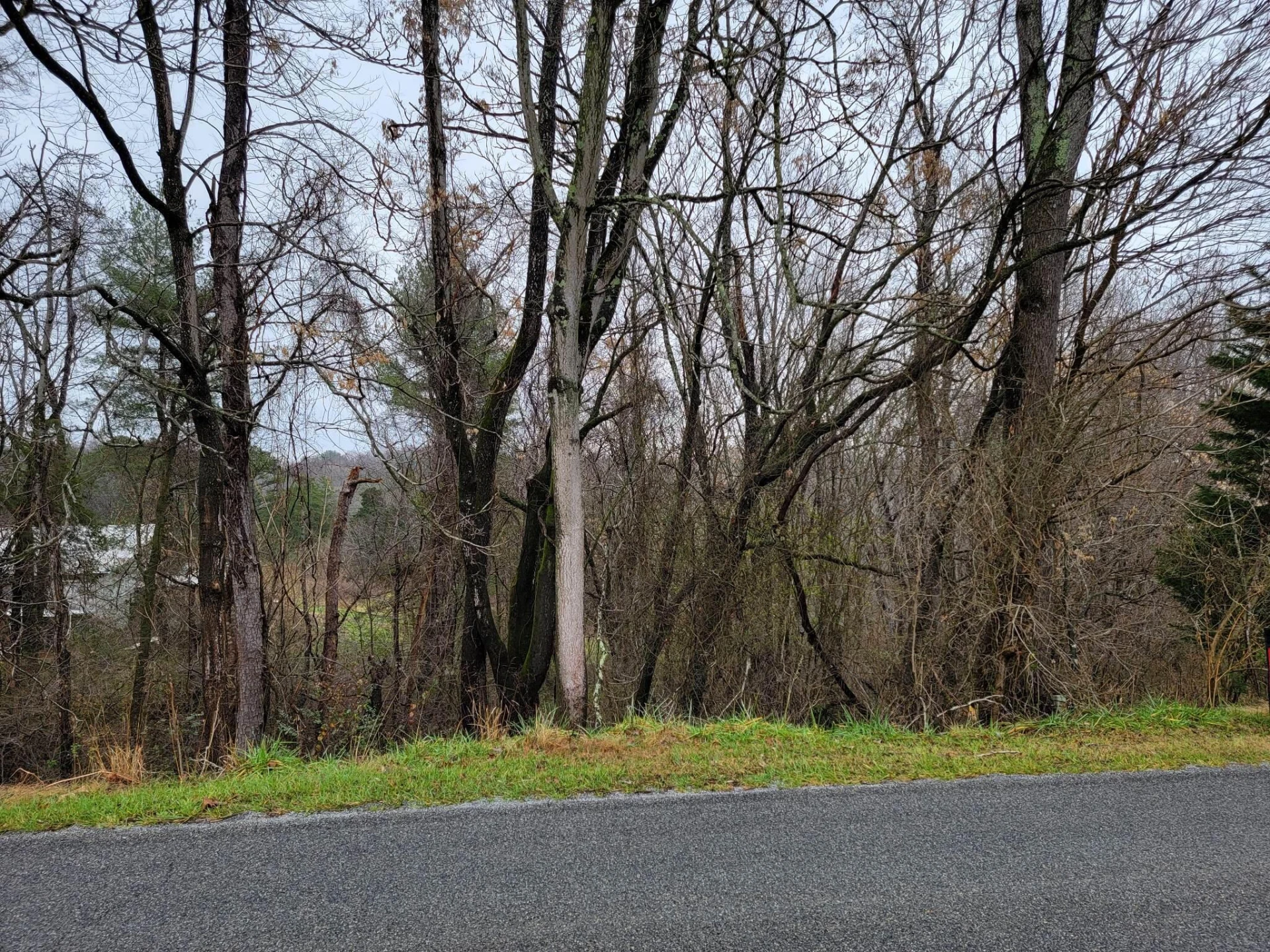 3548 GREEN LEVEL RD