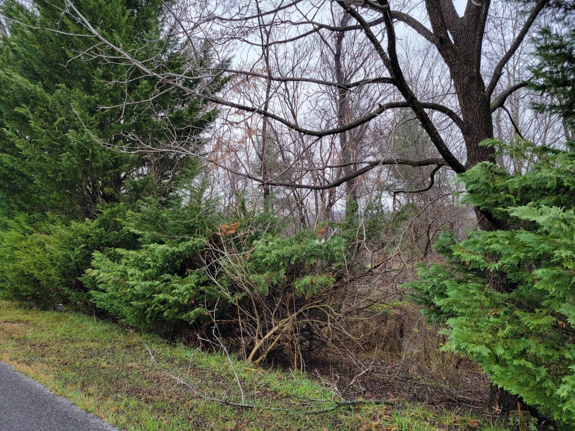 3548 GREEN LEVEL RD - Photo 2