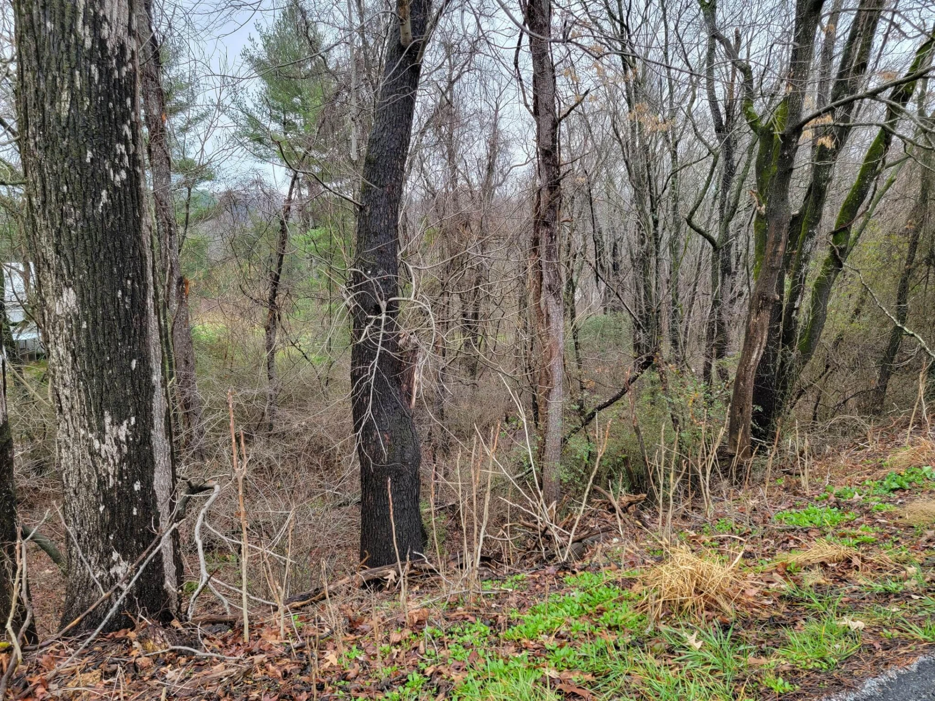 3548 GREEN LEVEL RD - Photo 4