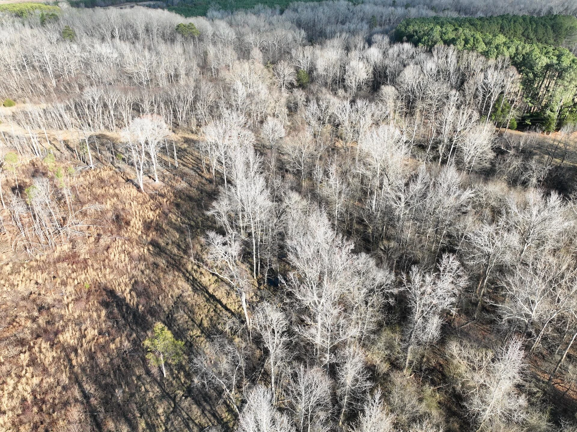 0 Green Level RD - Photo 14