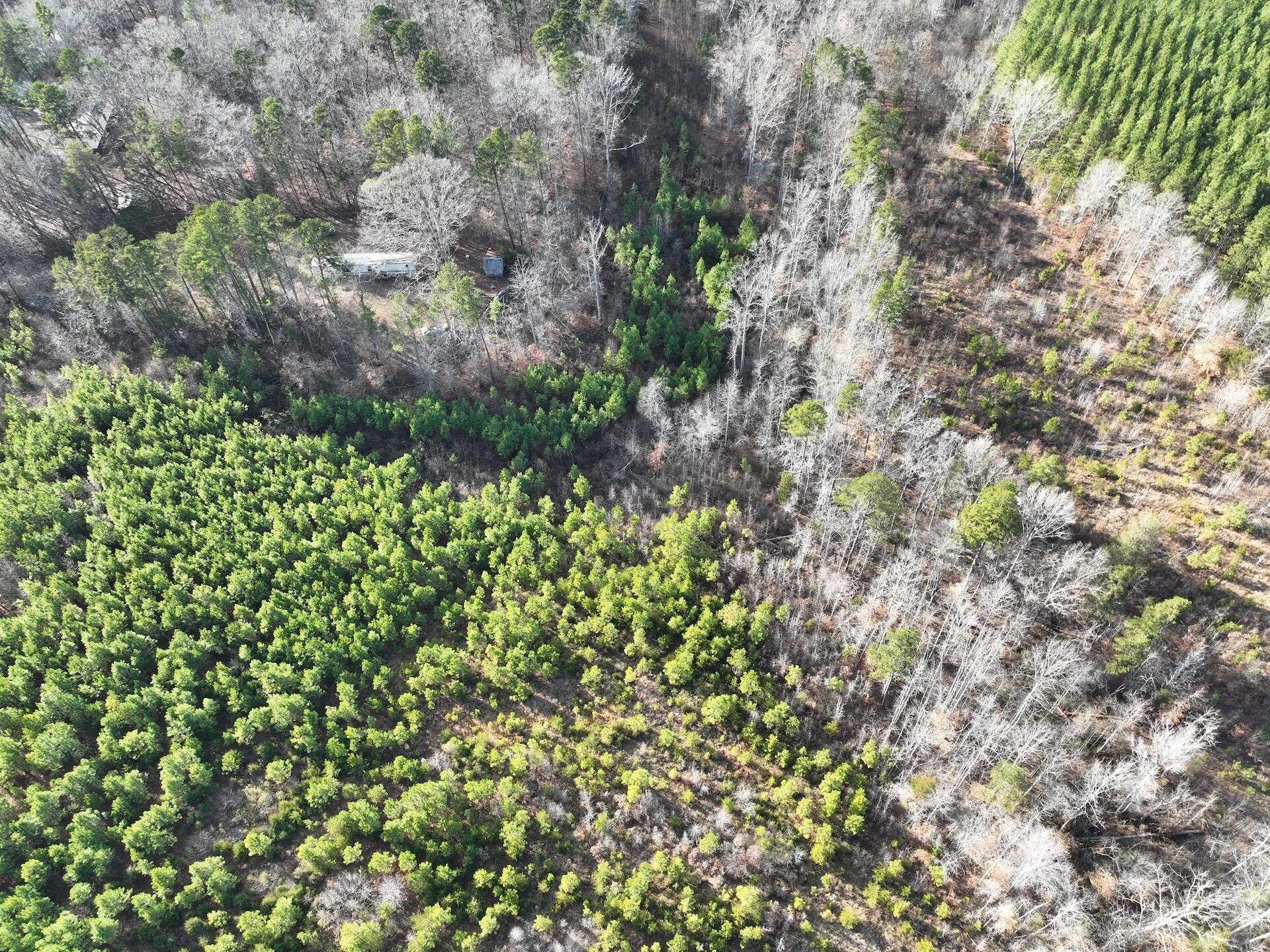 0 Green Level RD - Photo 16