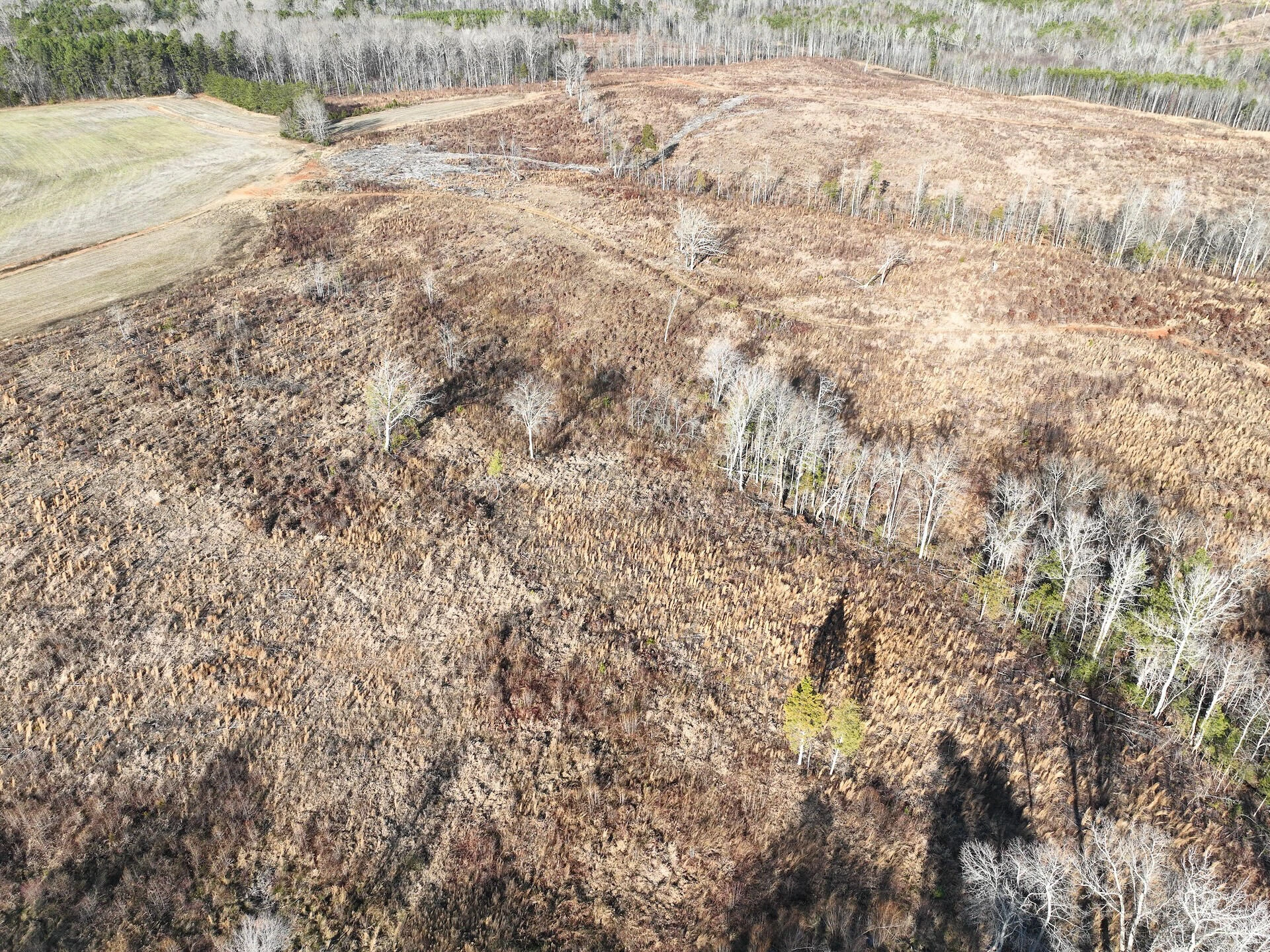 0 Green Level RD - Photo 2
