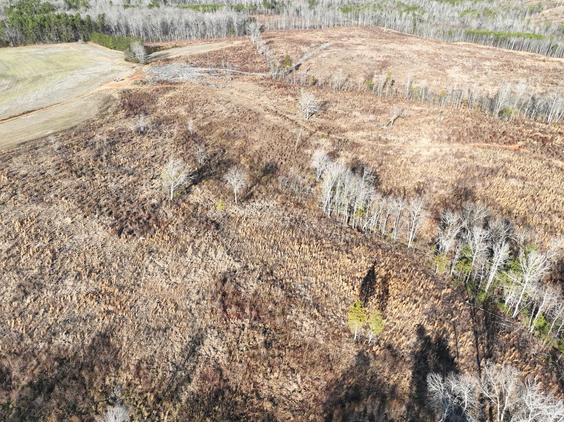 0 Green Level RD - Photo 22