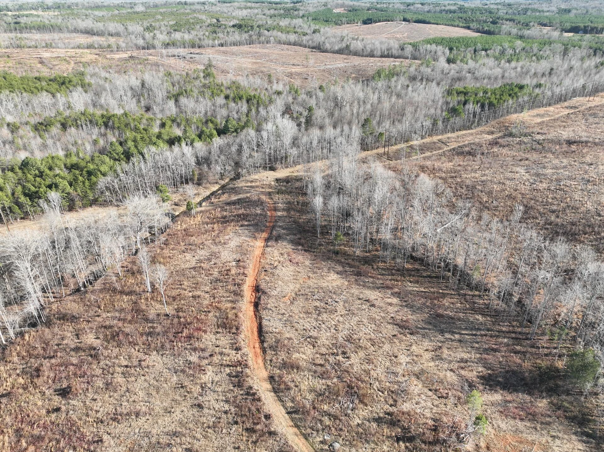 0 Green Level RD - Photo 42