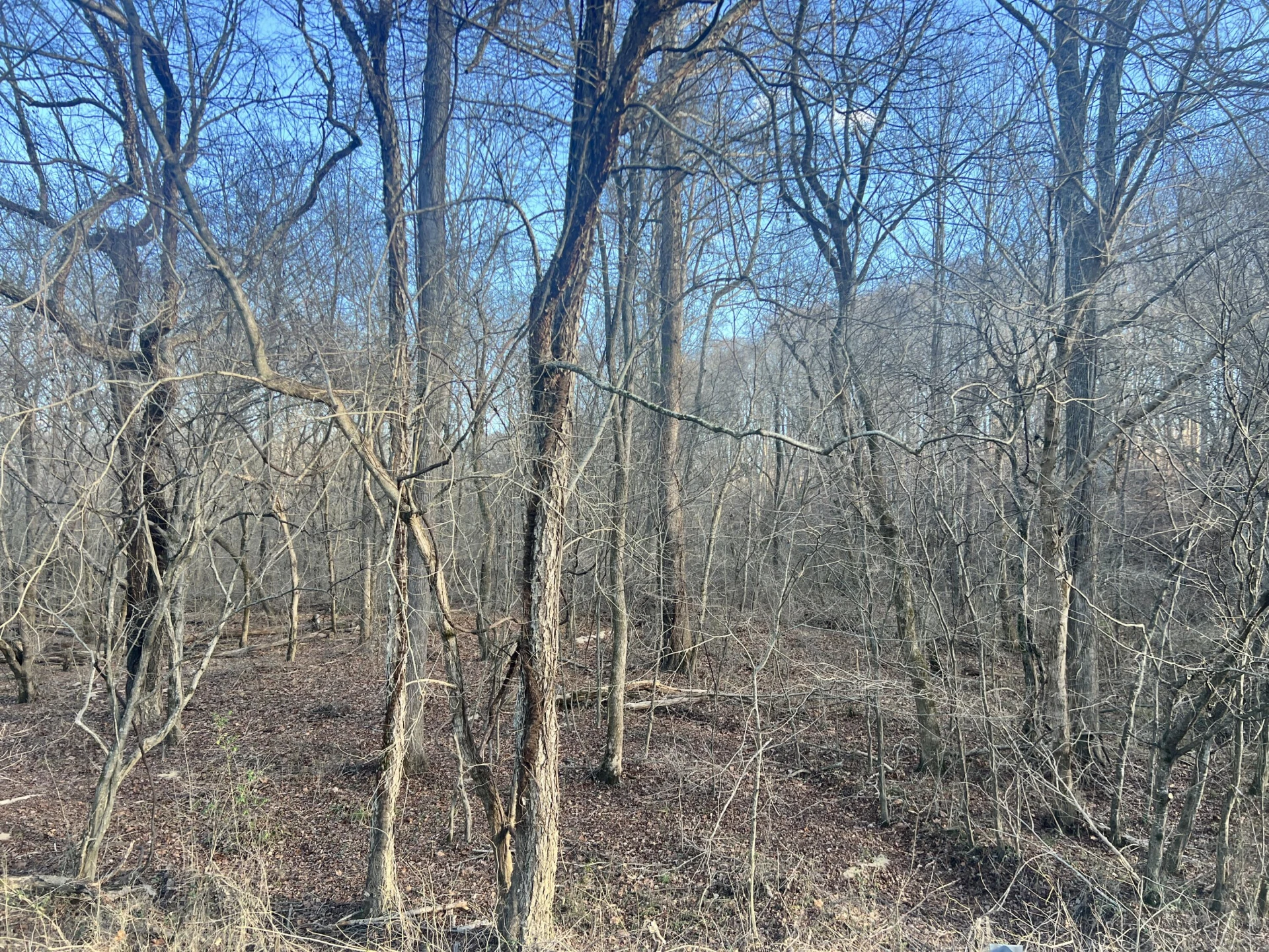 0 Green Level RD - Photo 48