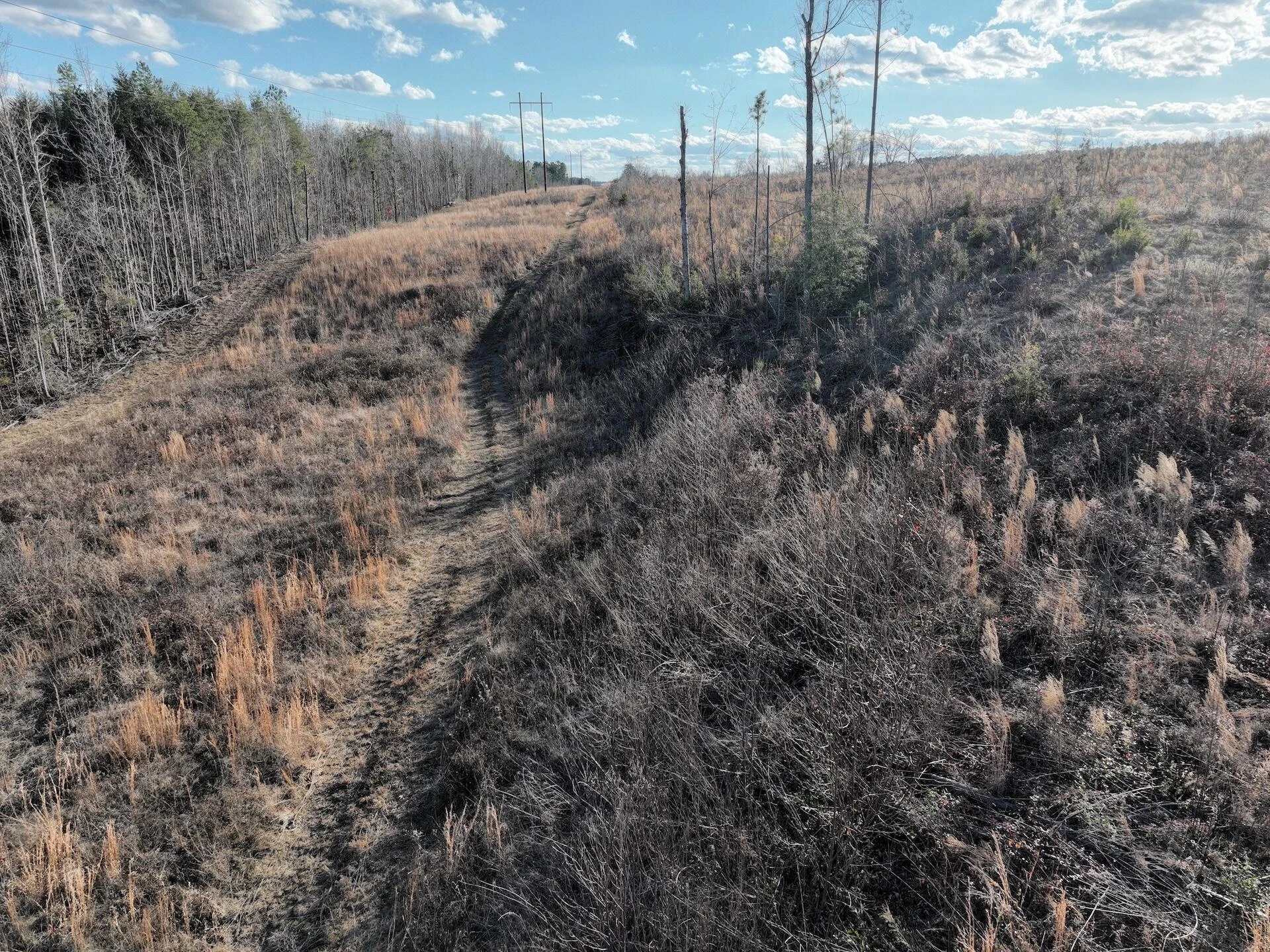 0 Green Level RD - Photo 53