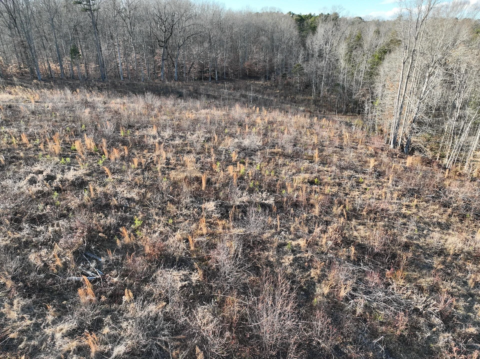 0 Green Level RD - Photo 54
