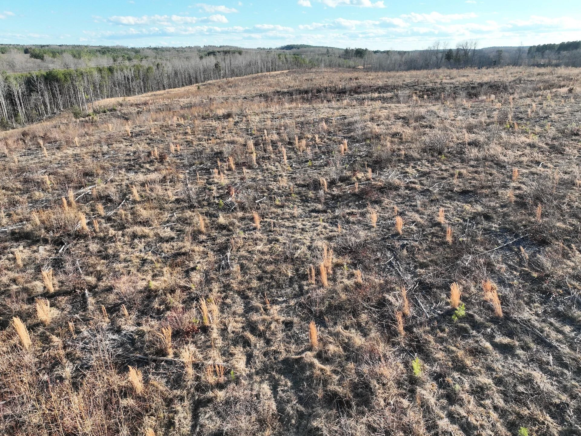 0 Green Level RD - Photo 55