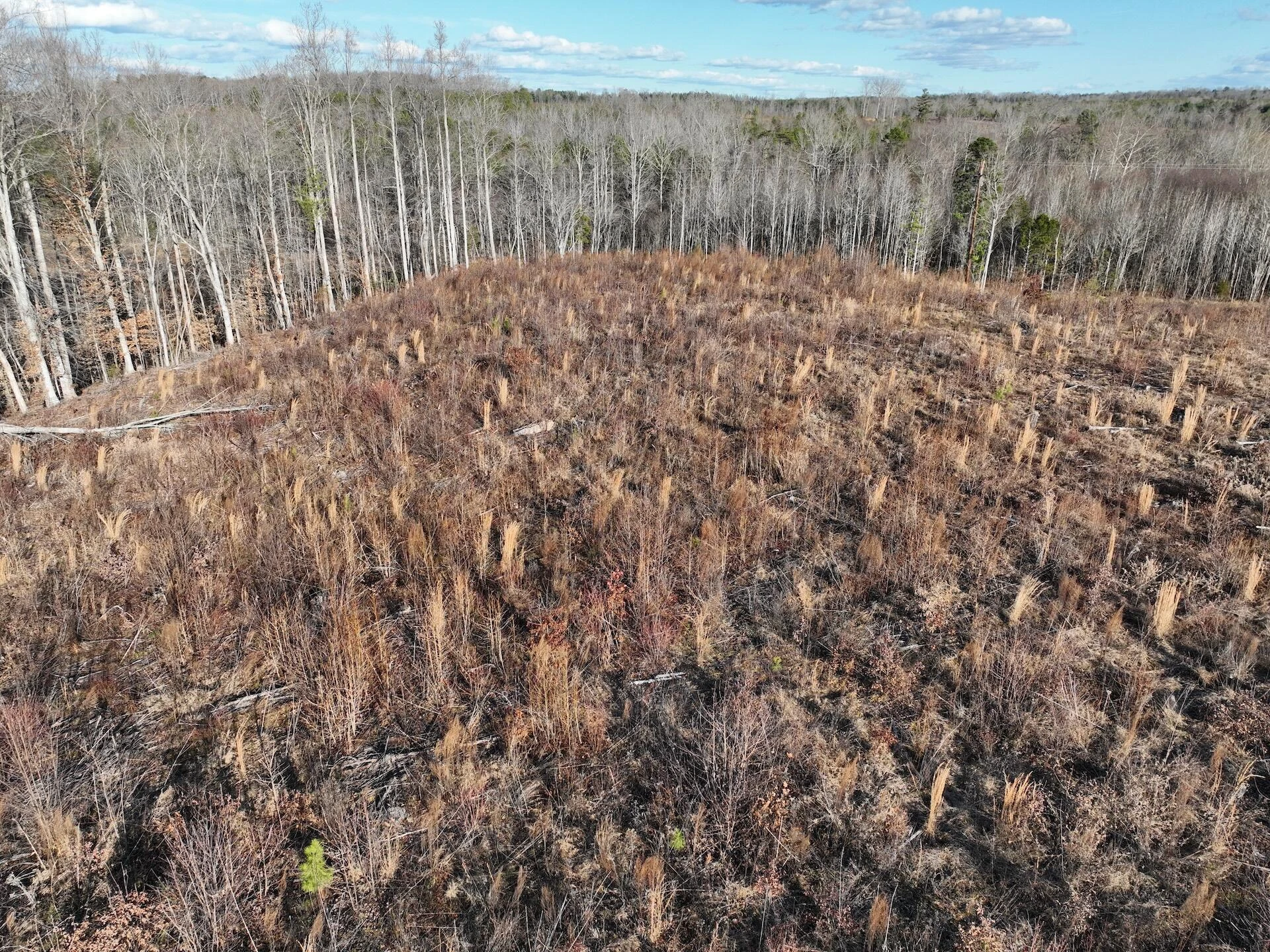 0 Green Level RD - Photo 56