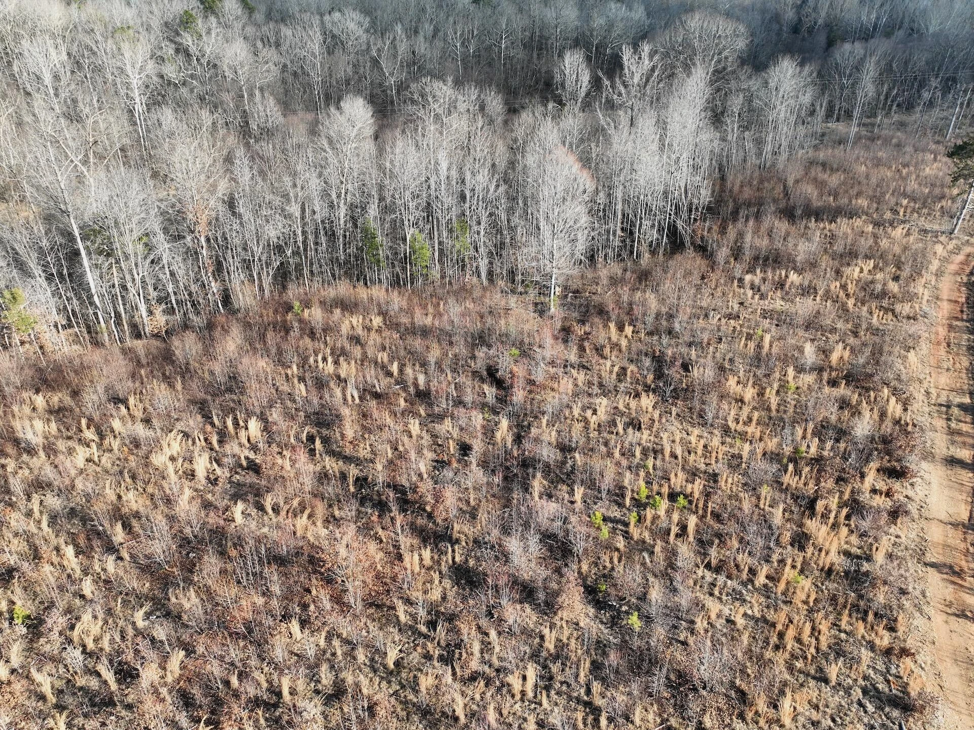 0 Green Level RD - Photo 61