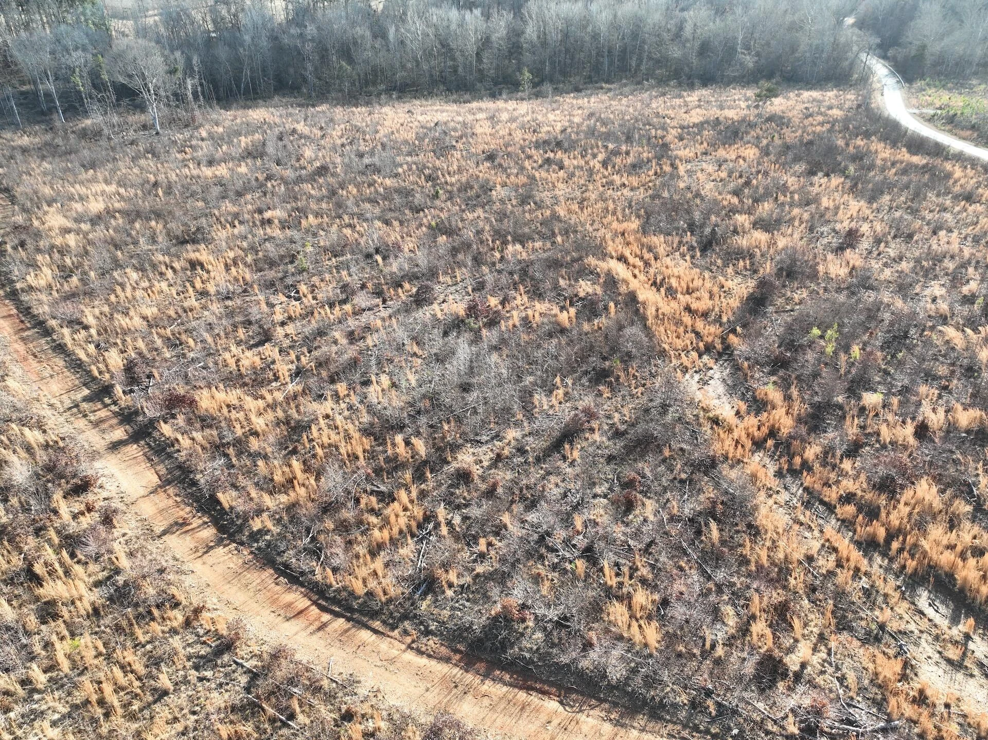 0 Green Level RD - Photo 62