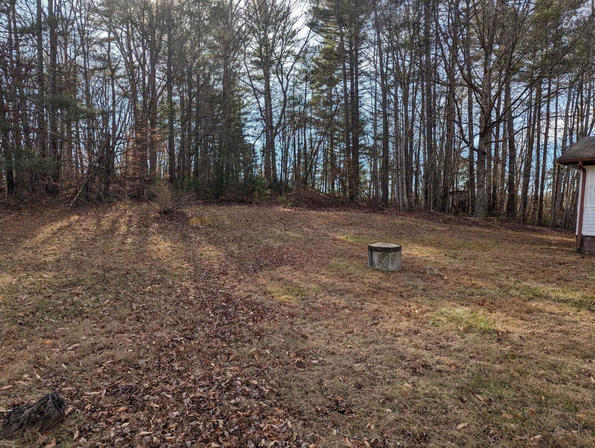 441 Haw Patch  RD - Photo 4
