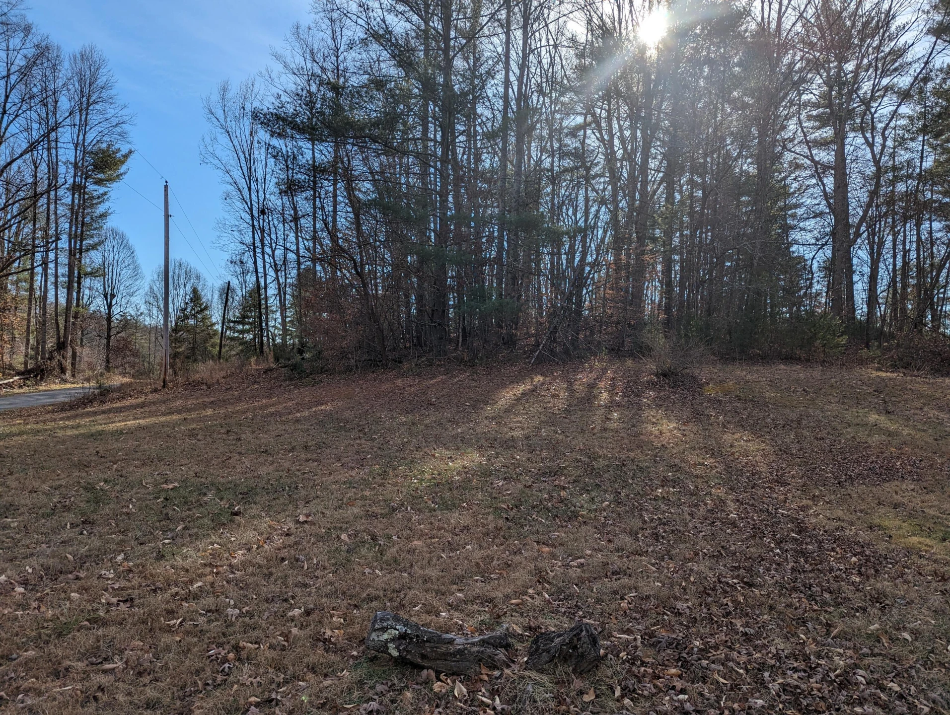 441 Haw Patch  RD - Photo 5