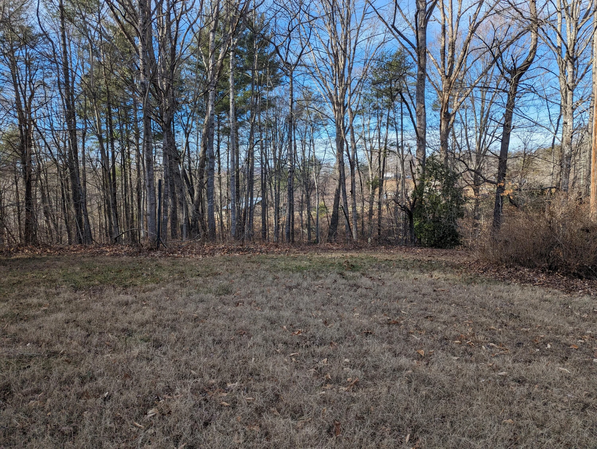 441 Haw Patch  RD - Photo 6