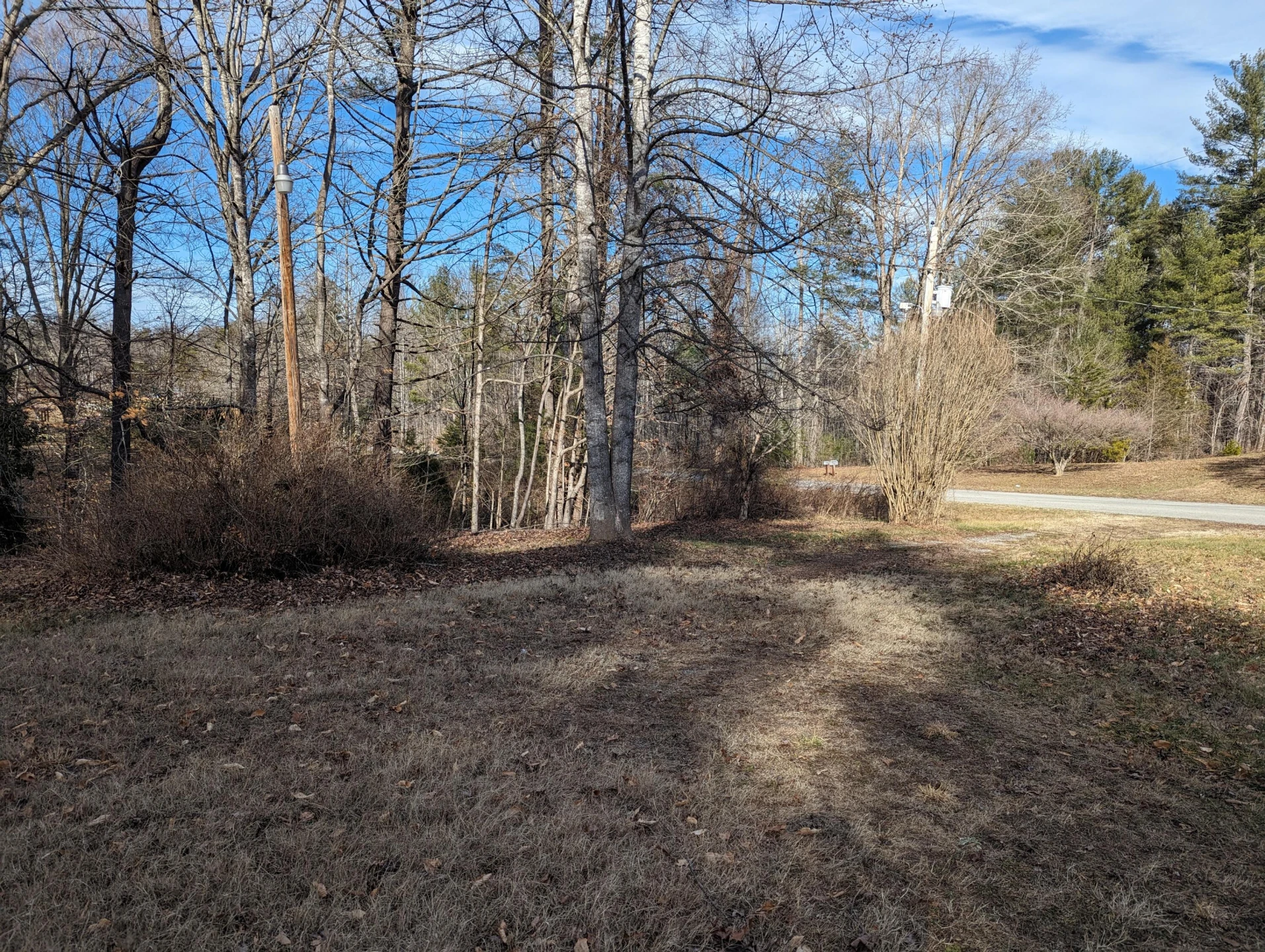 441 Haw Patch  RD - Photo 7