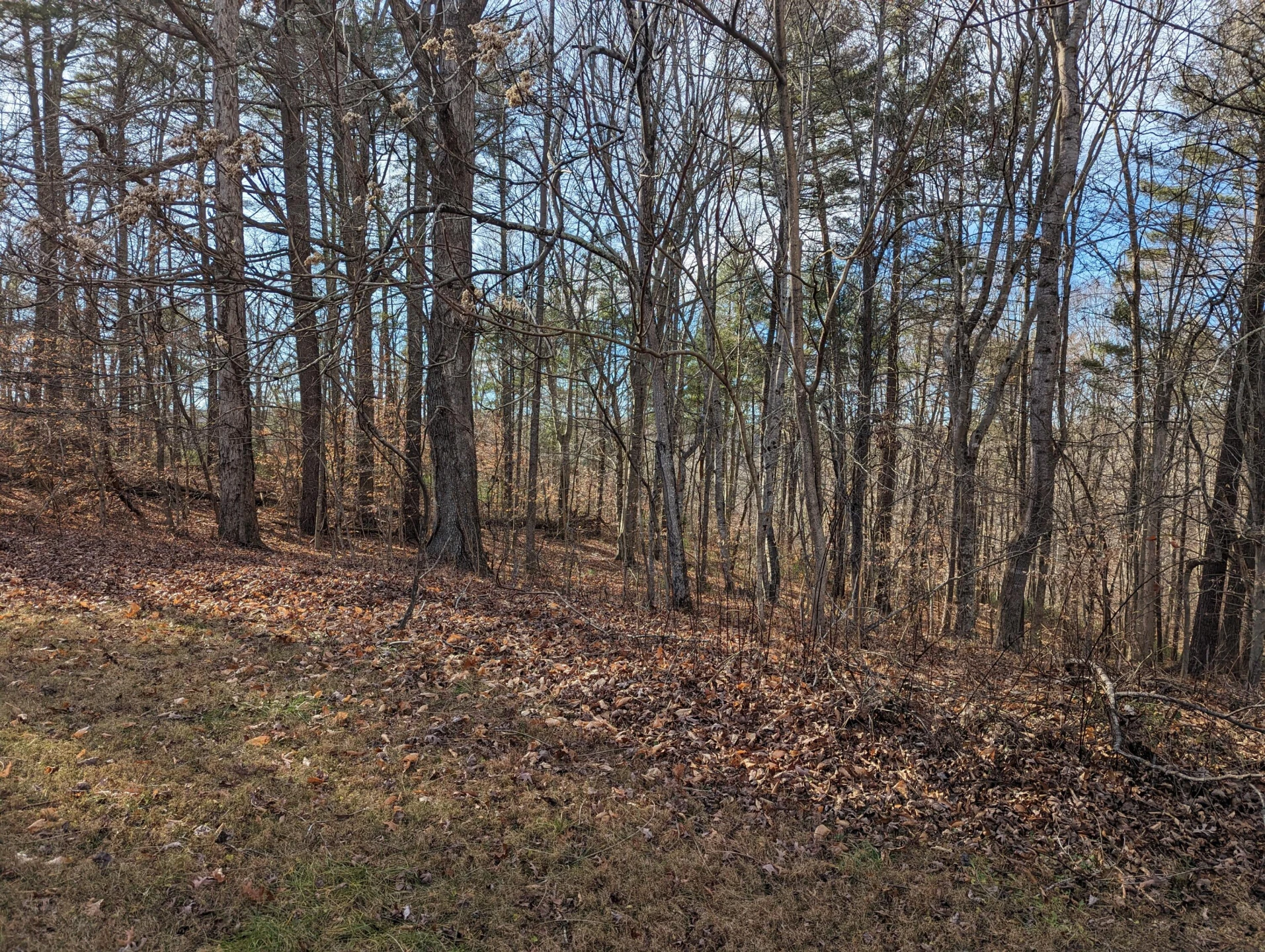 441 Haw Patch  RD - Photo 8