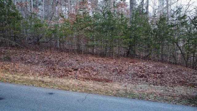 00 SPRING CHASE DR - Photo 2