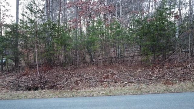 000 SPRING CHASE DR - Photo 3