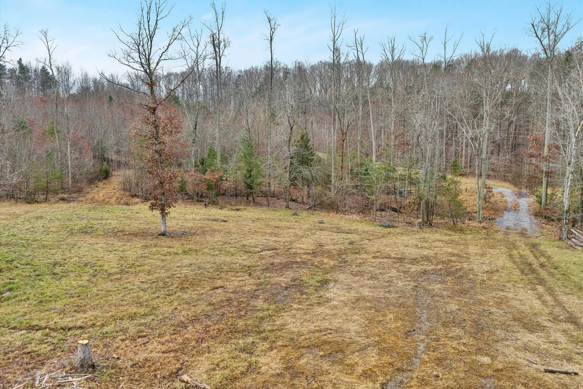 Lot 4 C&E Family Acres LN - Photo 2