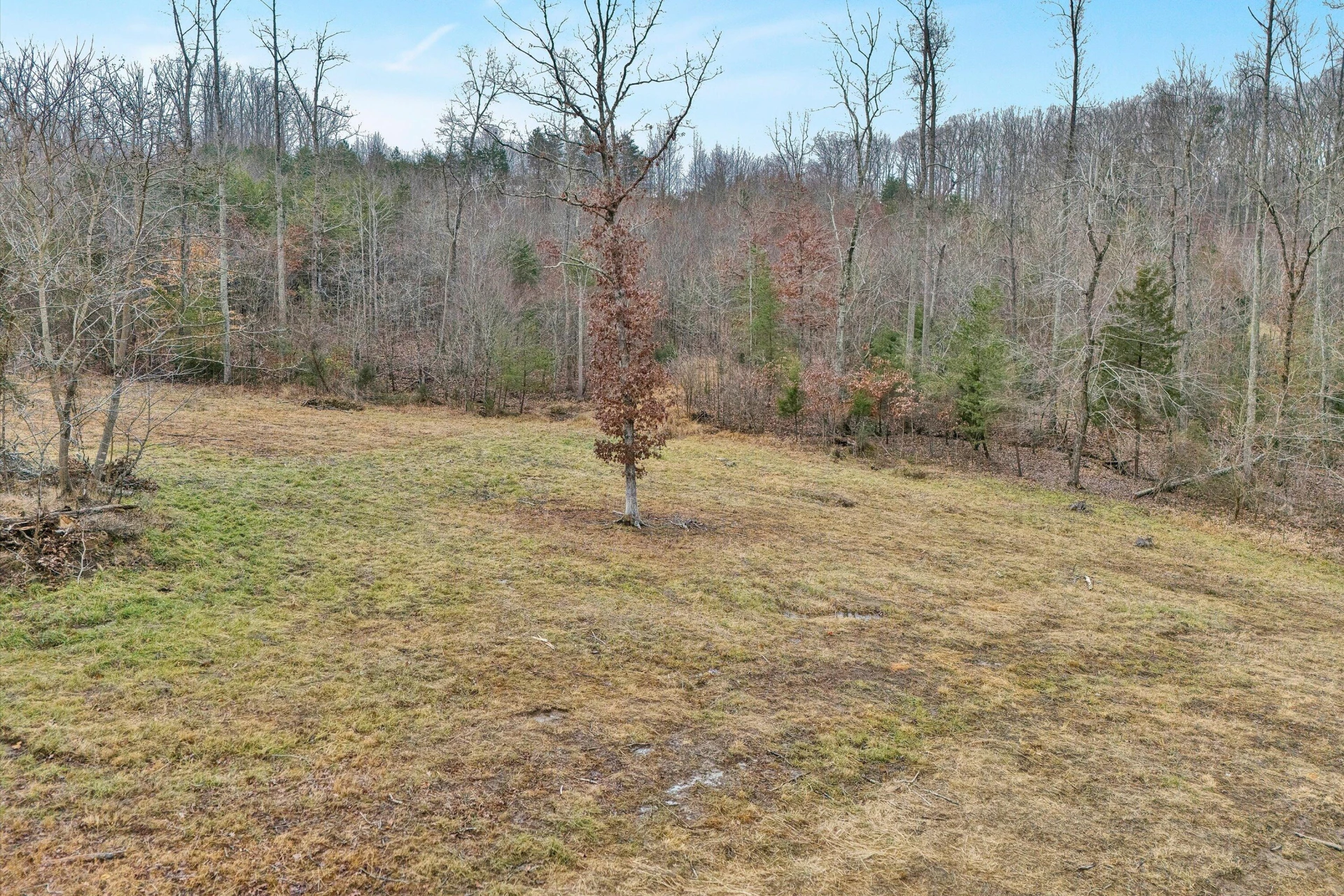 Lot 4 C&E Family Acres LN - Photo 3