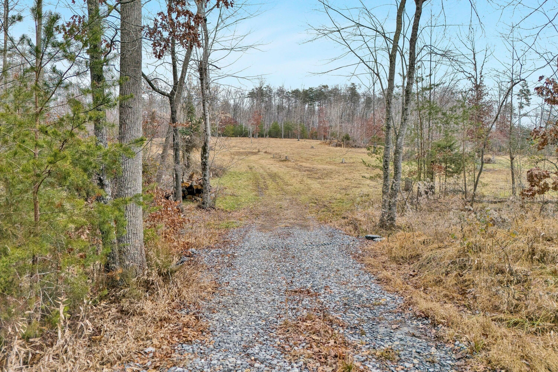 Lot 4 C&E Family Acres LN - Photo 4