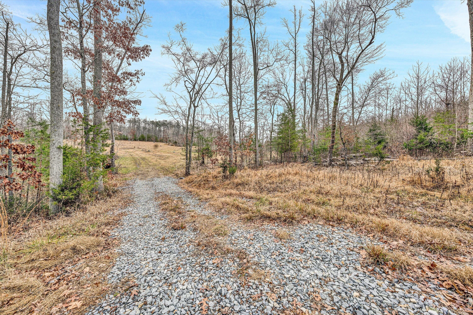 Lot 4 C&E Family Acres LN - Photo 5