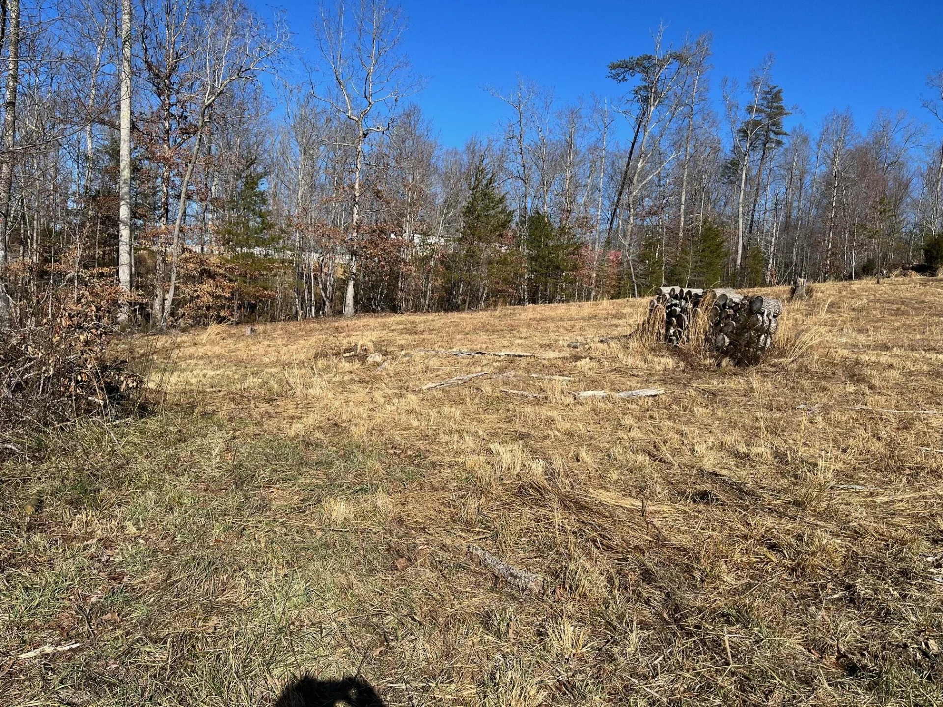 Lot 4 C&E Family Acres LN - Photo 6