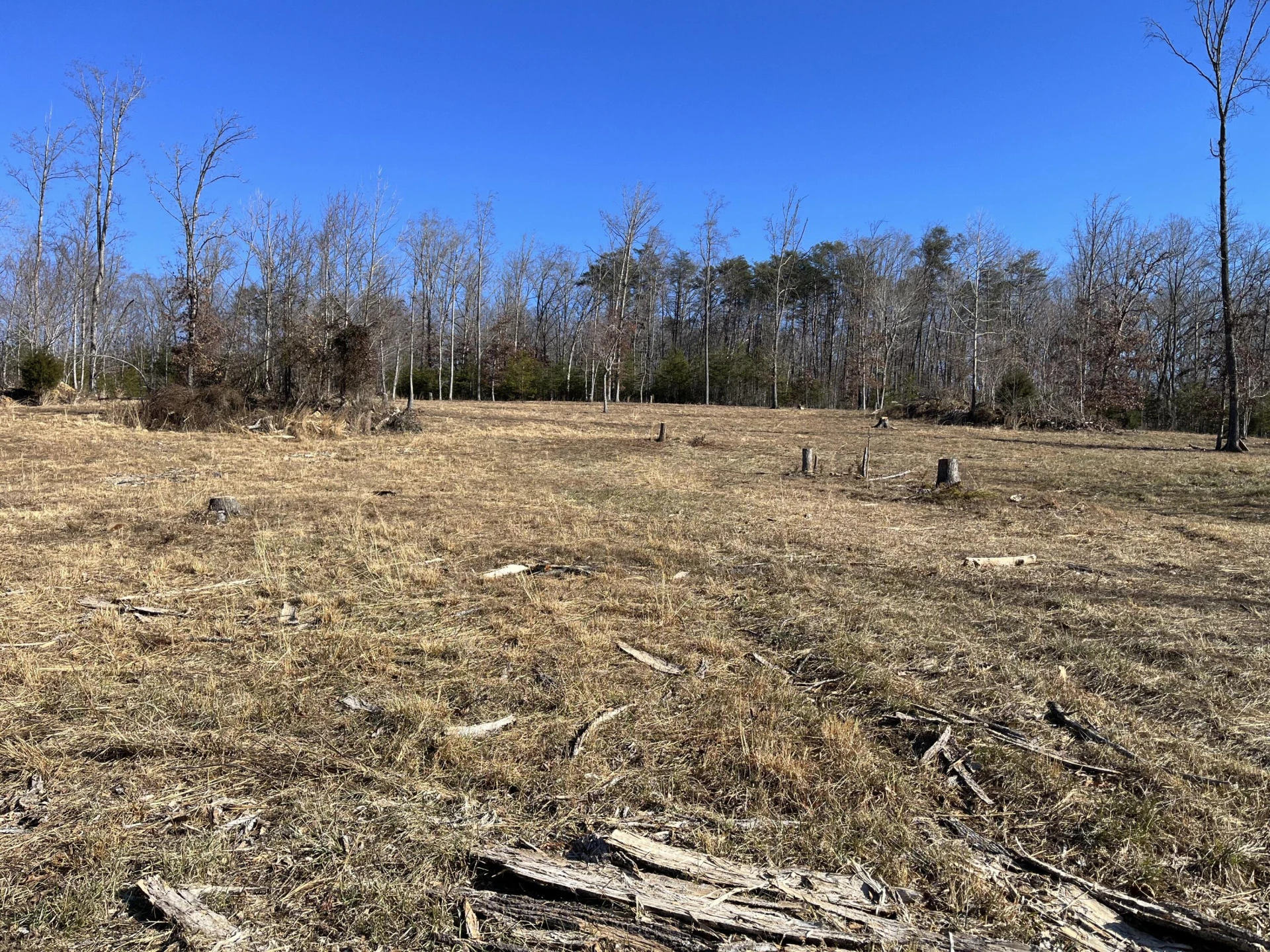Lot 4 C&E Family Acres LN - Photo 7