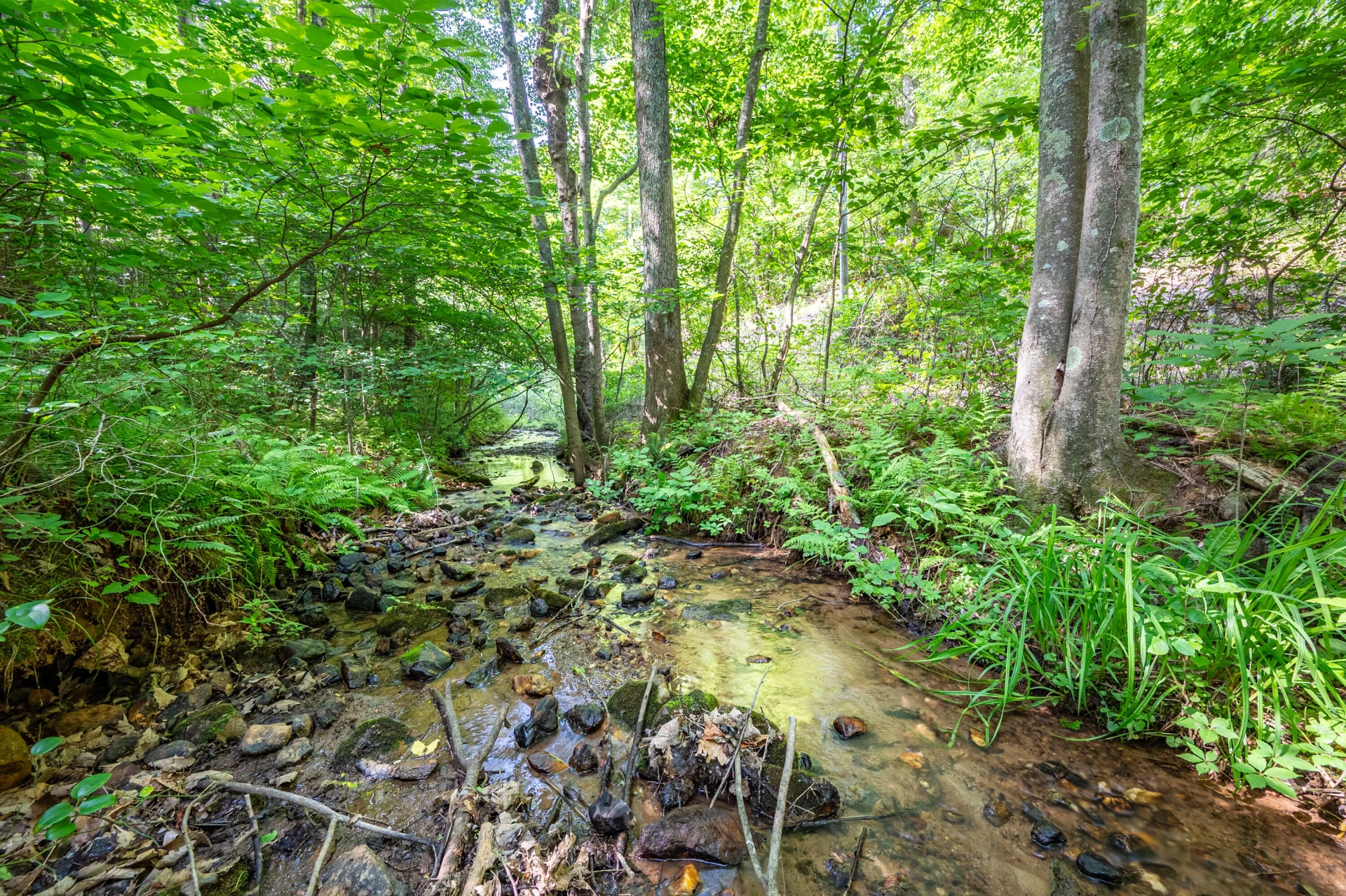 0 Woolwine Hwy - Photo 10