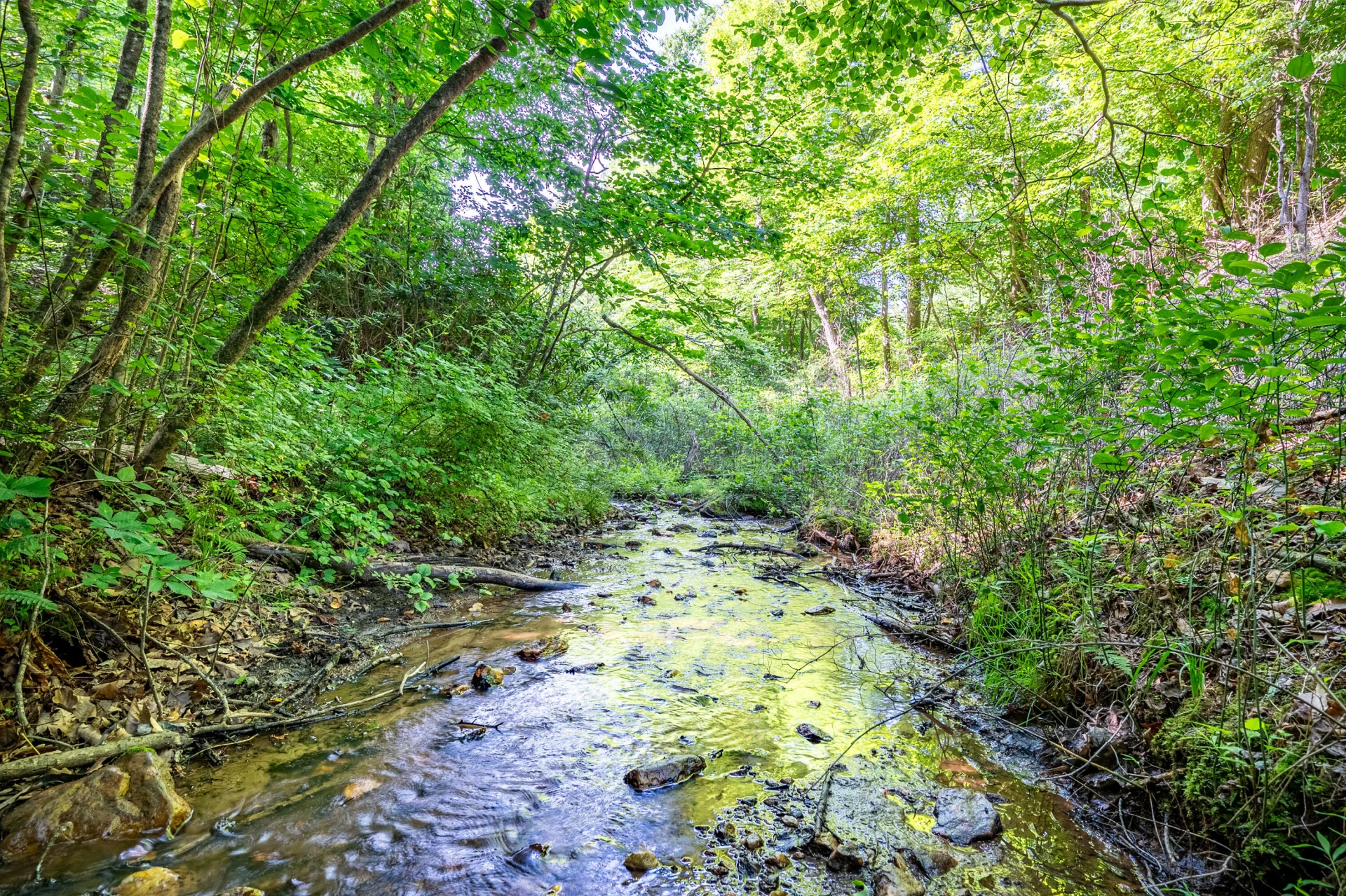 0 Woolwine Hwy - Photo 11