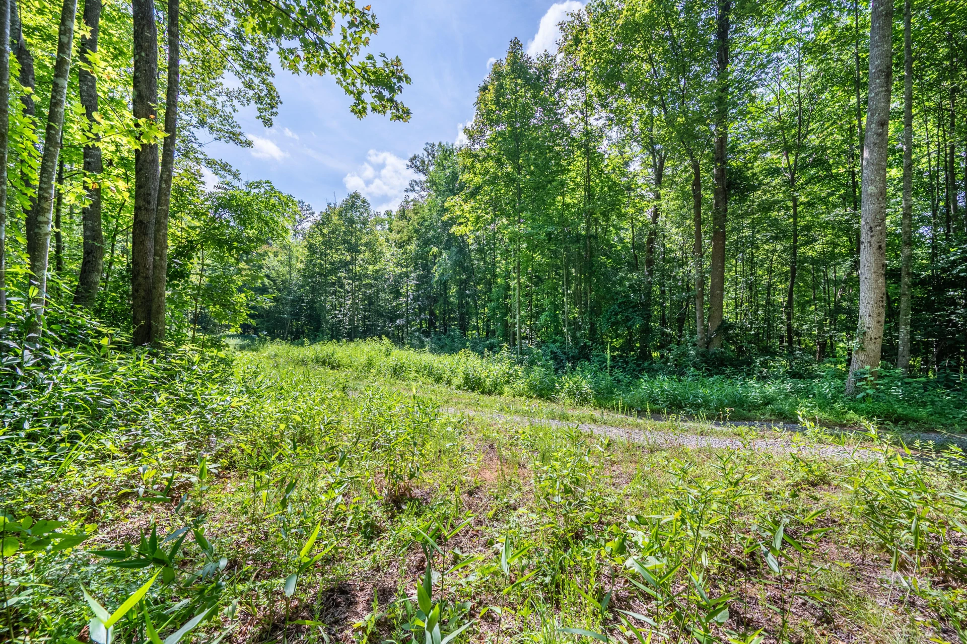 0 Woolwine Hwy - Photo 14