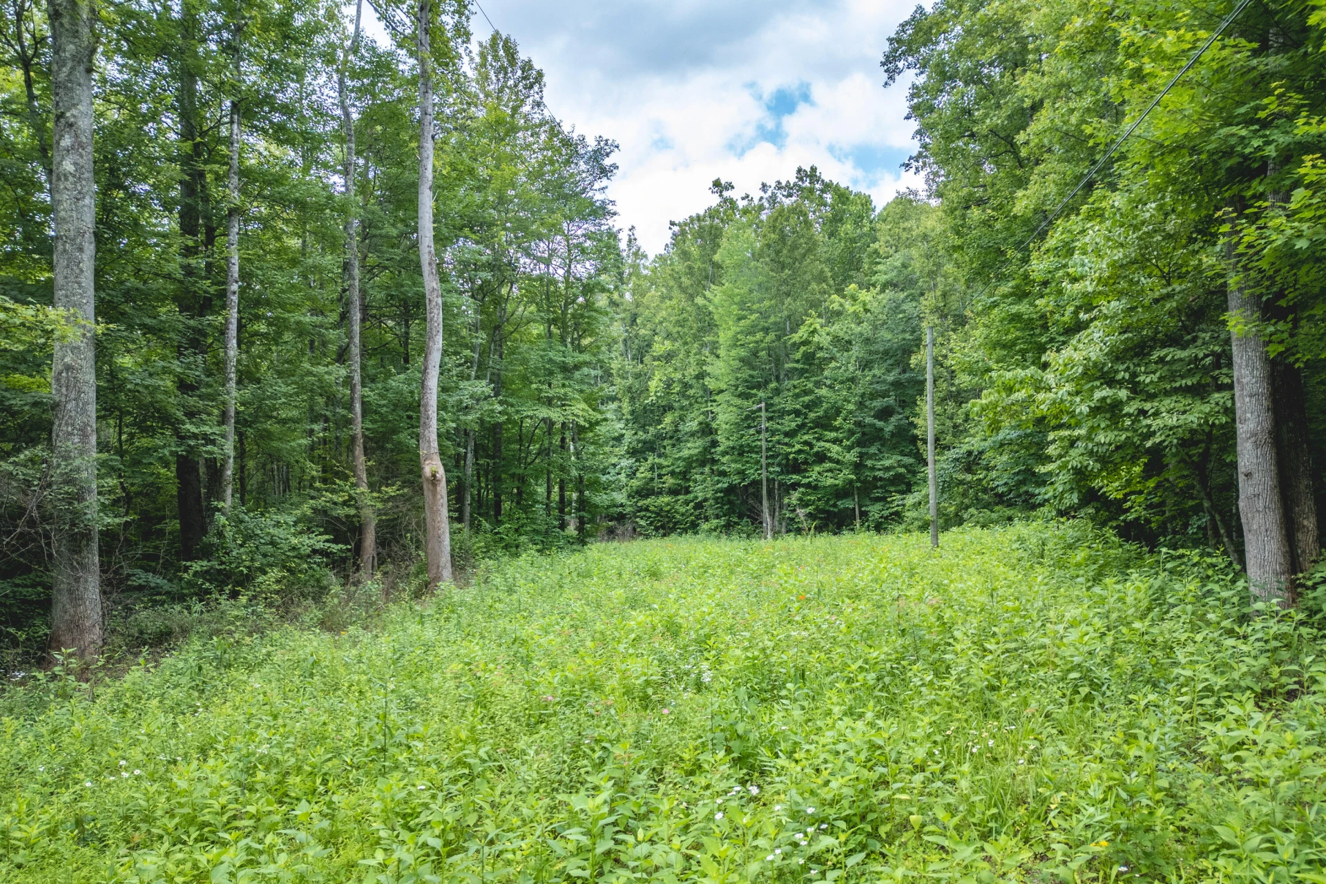 0 Woolwine Hwy - Photo 15