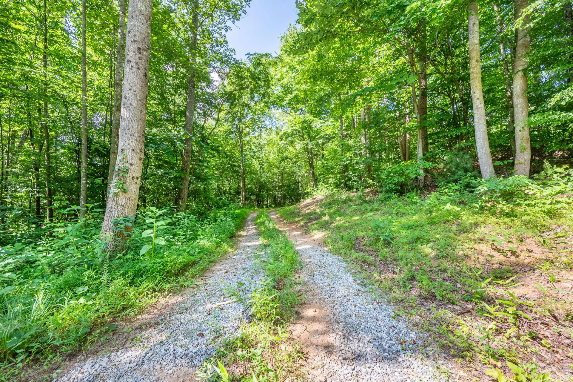 0 Woolwine Hwy - Photo 17