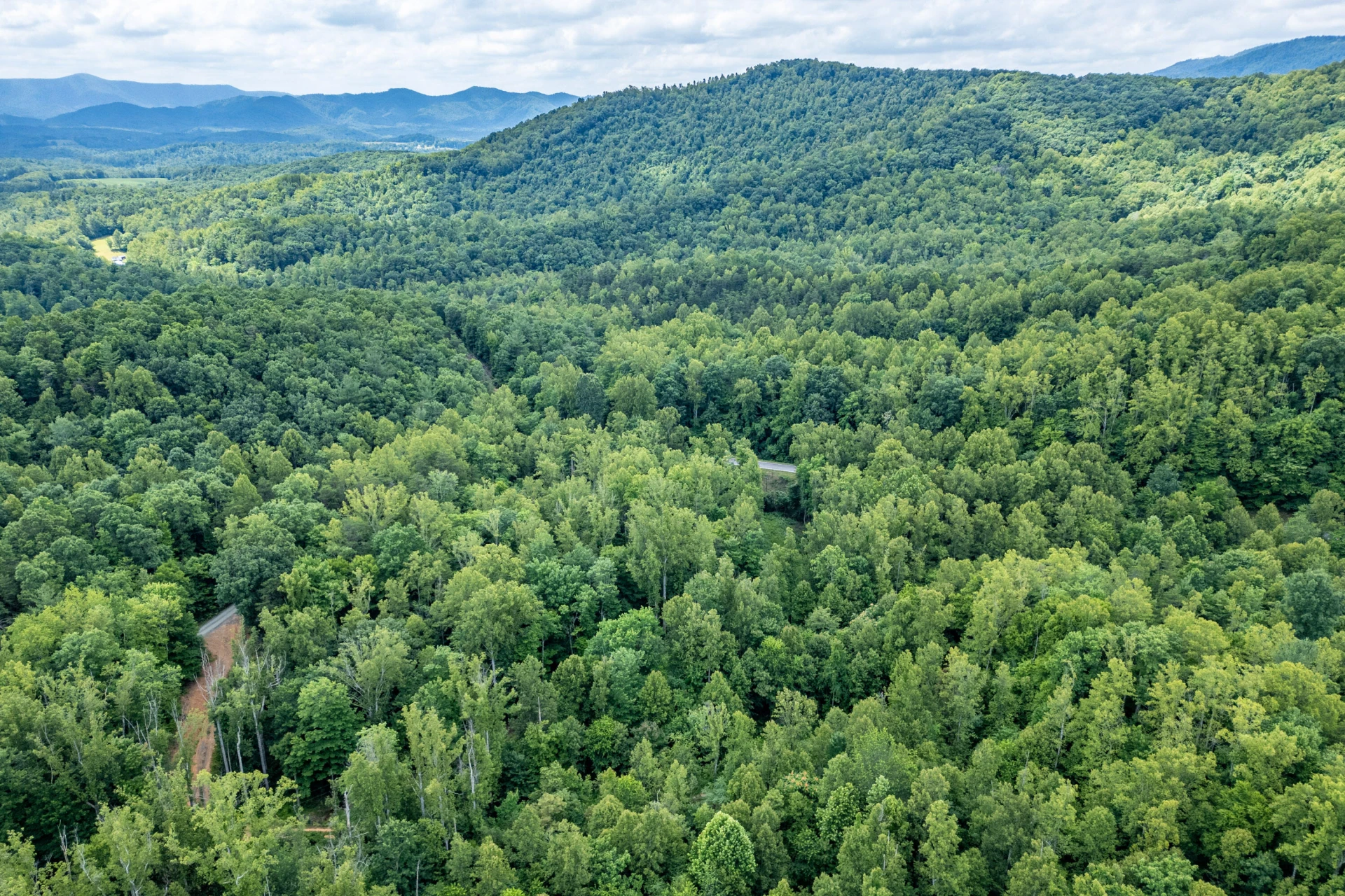0 Woolwine Hwy - Photo 4
