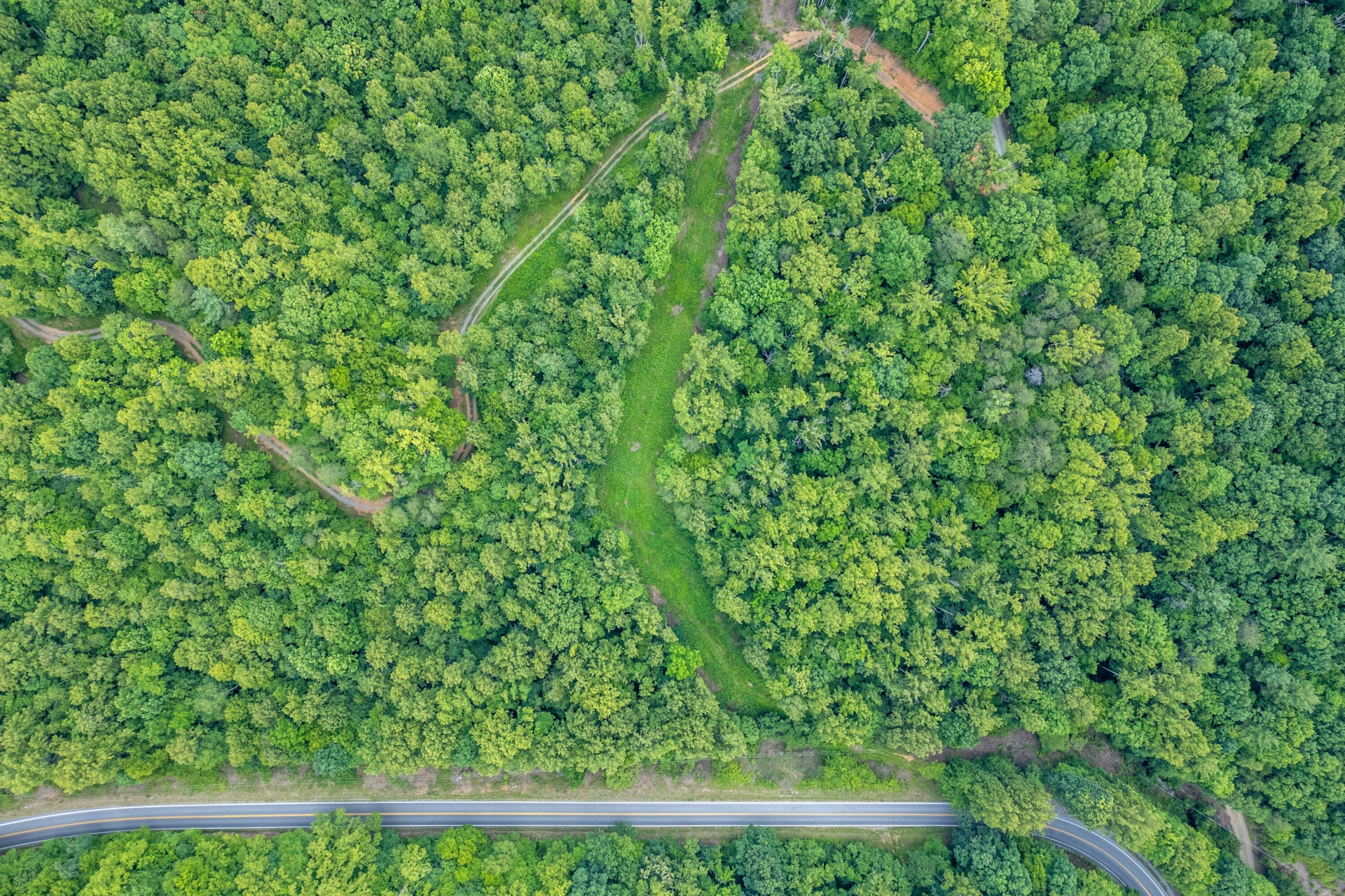 0 Woolwine Hwy - Photo 6