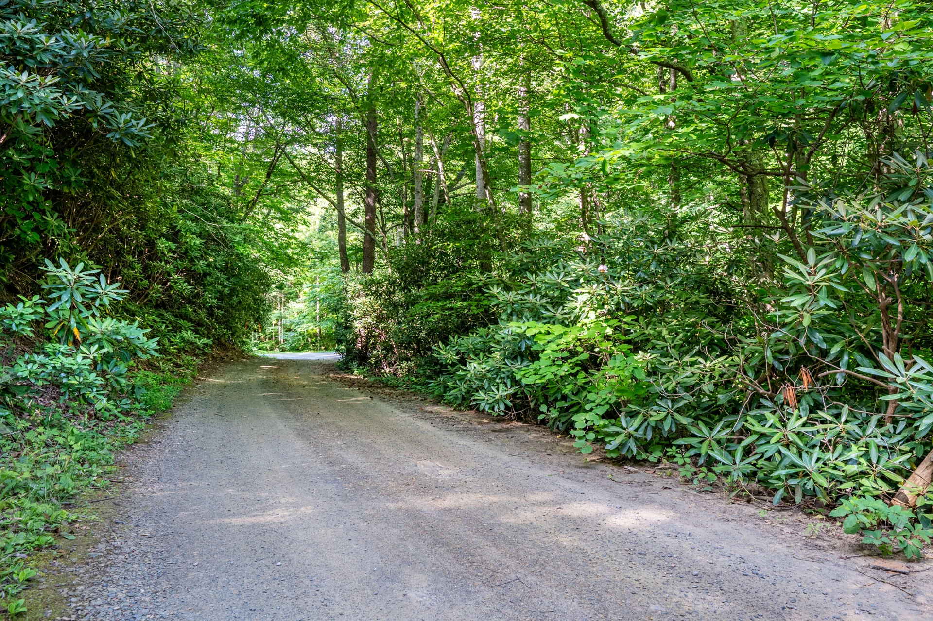 0 Woolwine Hwy - Photo 8